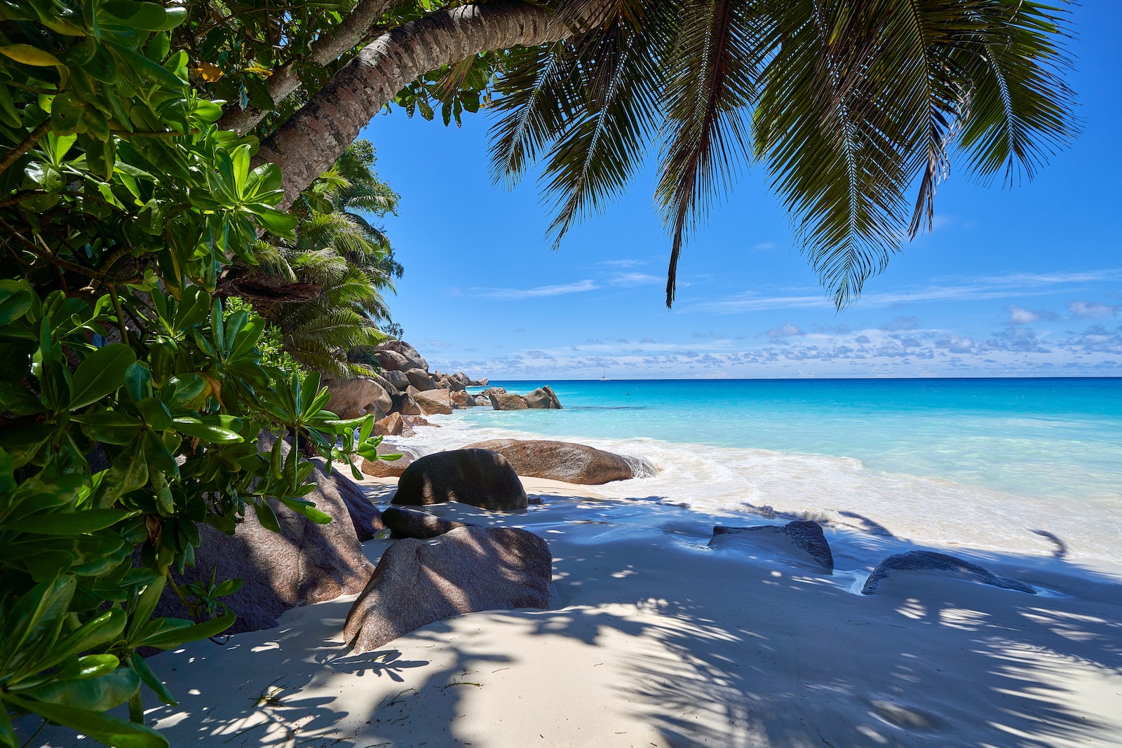 Les Seychelles en Novembre : Le Paradis Tropical à Visiter